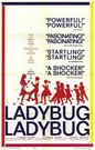 ladybug, ladybug
