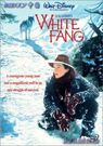 white fang/雪地黄金犬